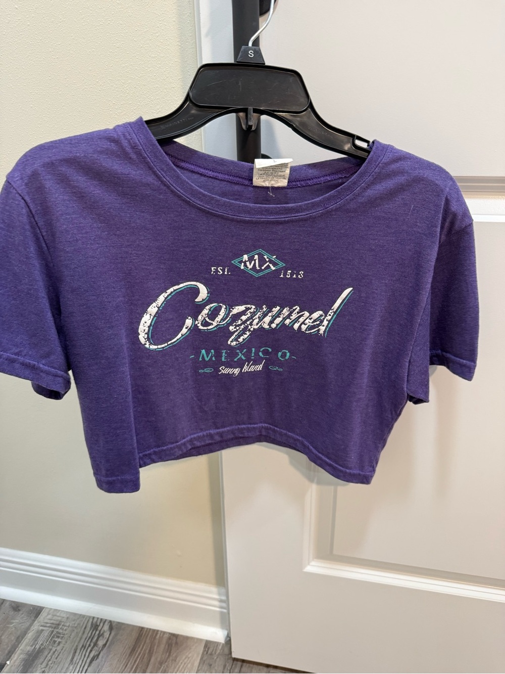 Reef Purple Graphic Tee with Teal Logo
